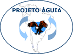 Logo Projeto Águia